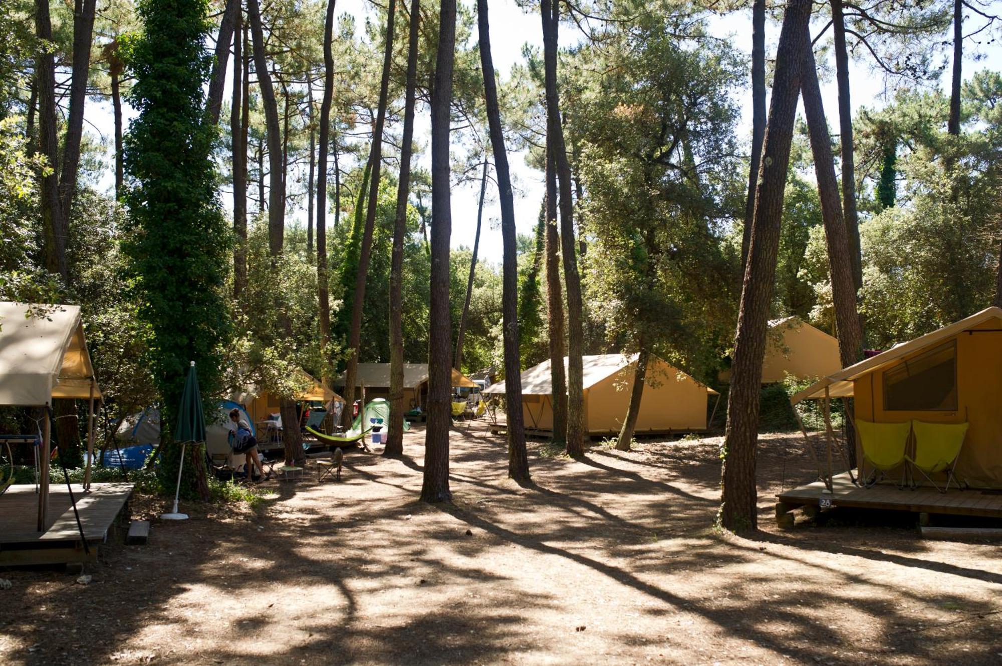 Huttopia Oleron Les Chenes Verts Dolus d'Oléron Δωμάτιο φωτογραφία