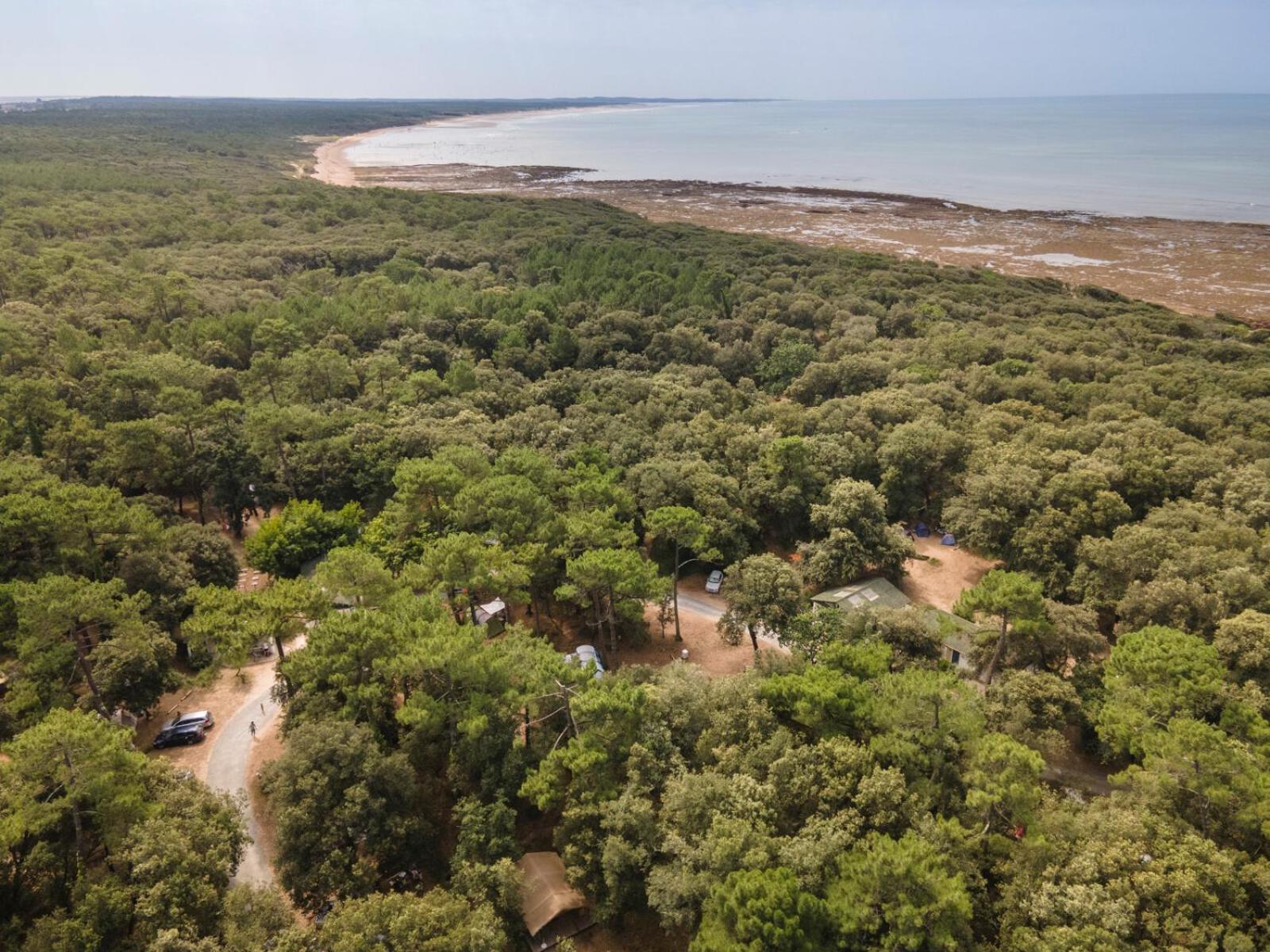 Huttopia Oleron Les Chenes Verts Dolus d'Oléron Εξωτερικό φωτογραφία
